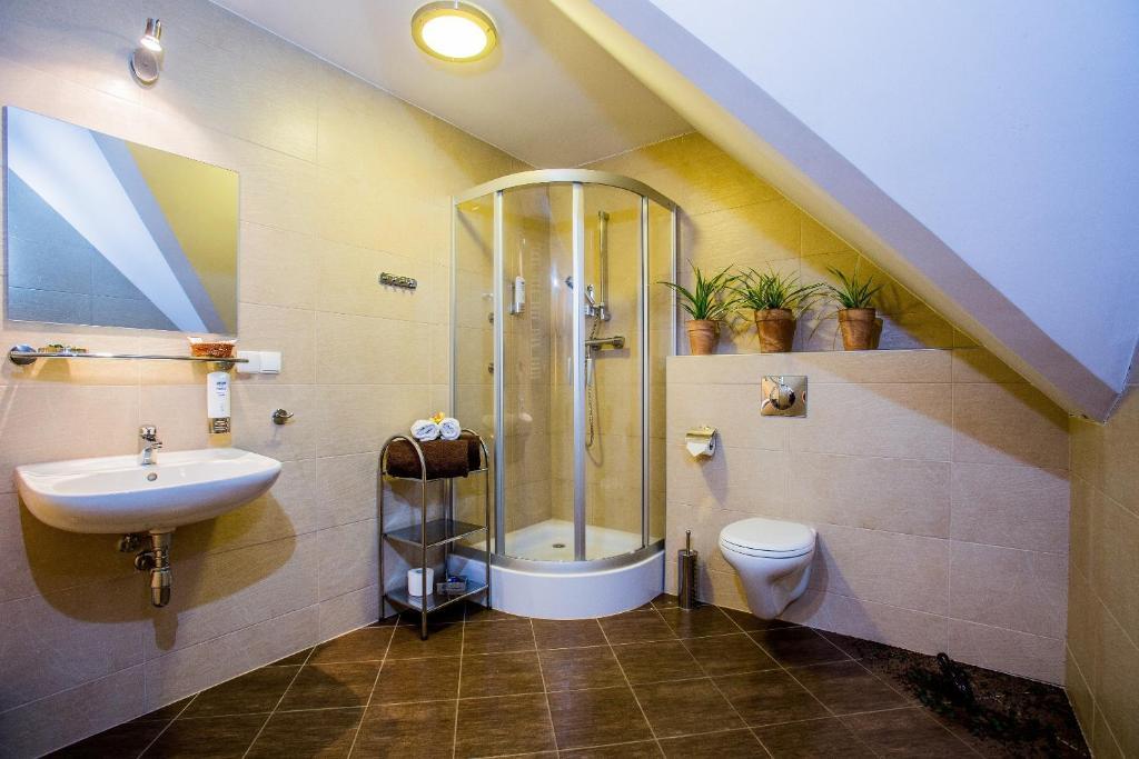 Hotel Concordia Podgórzyn Kamer foto